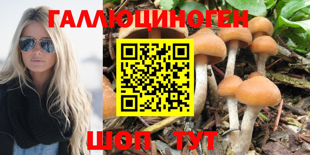 Галлюциногенные грибы мухоморы Курганинск