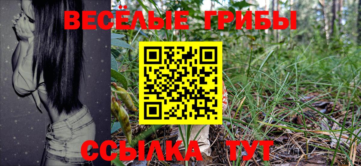 Галлюциногенные грибы прущие грибы  Галлюциногенные грибы Psilocybine cubensis  Вход с VPN  Курганинск 